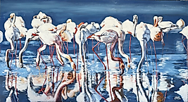 Flamingo Sürüsü