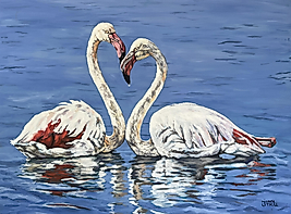 Flamingoların Aşkı