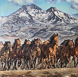 Yılkı Atları-Erciyes Dağı