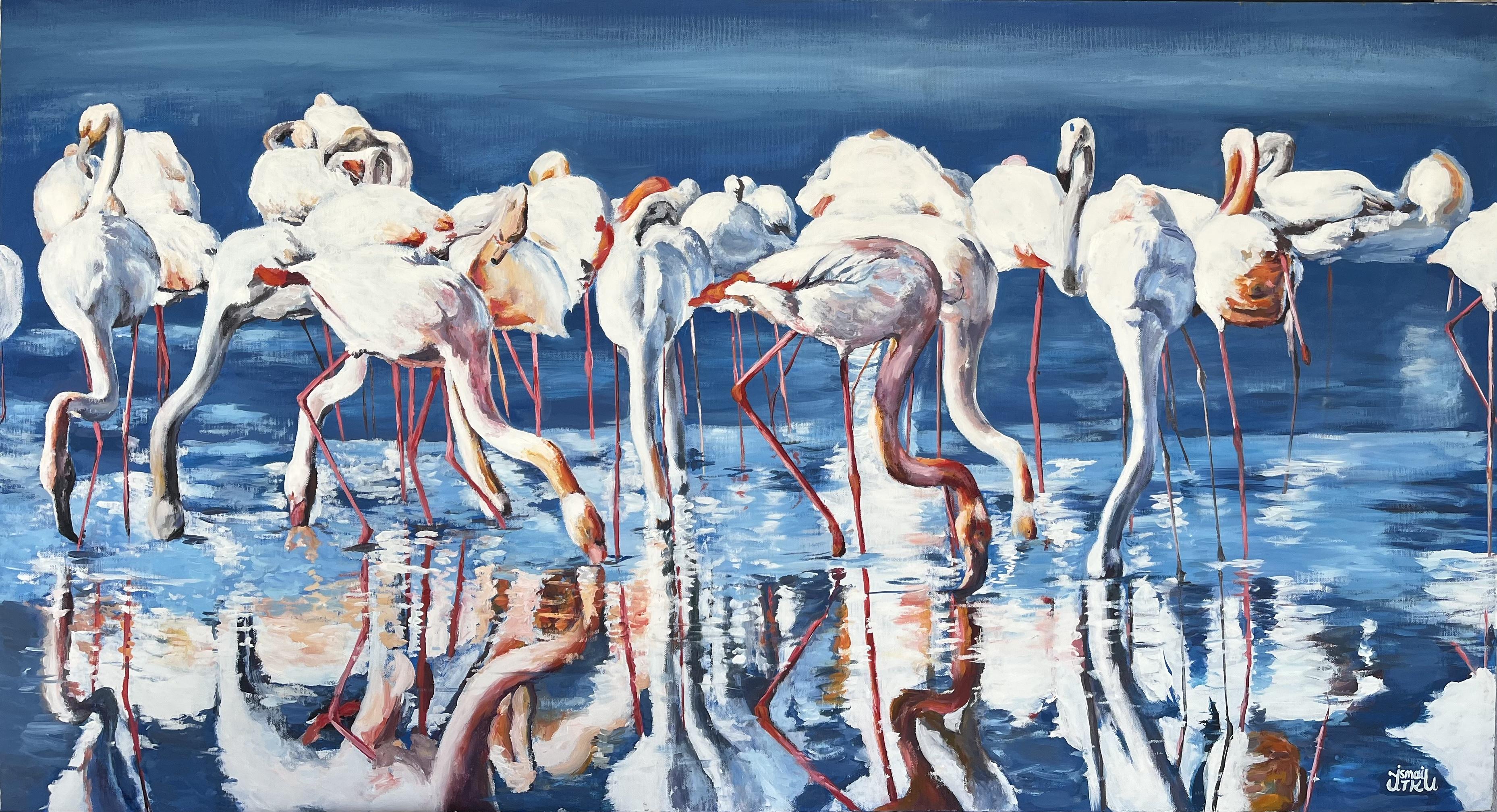 Flamingo Sürüsü