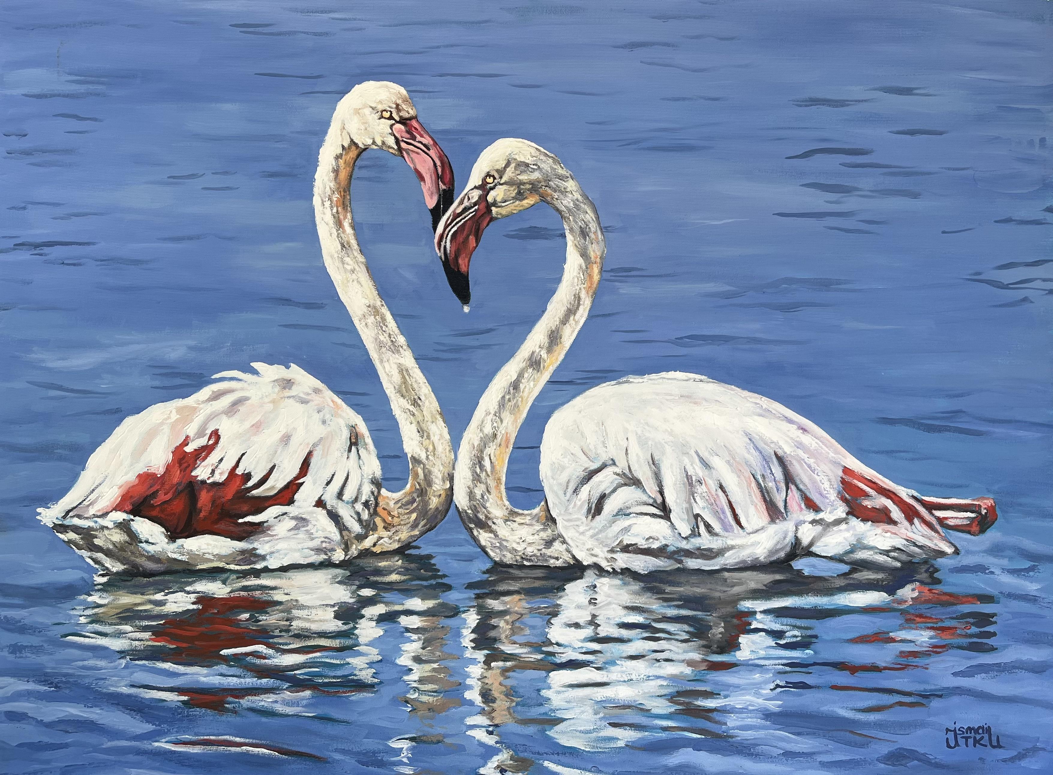 Flamingoların Aşkı